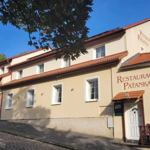 Pension Patanka, hotel v Praze