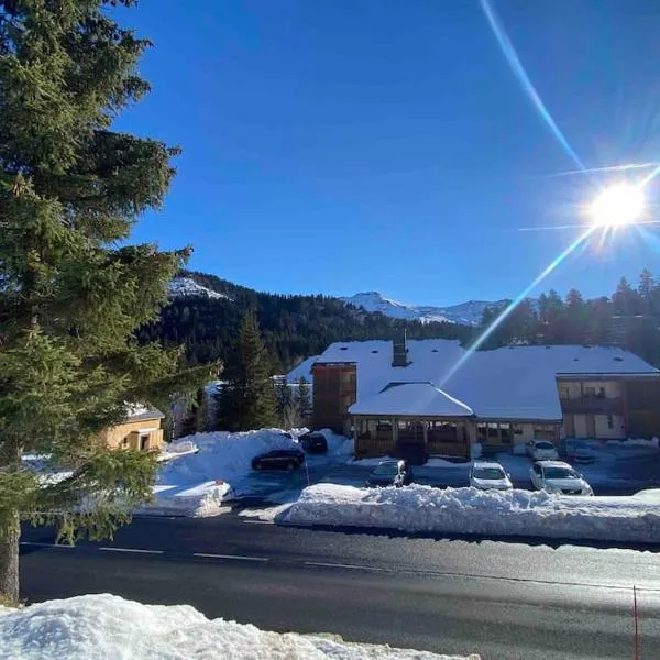 Appartement résidence le bec de l’aigle, hotel a Laveissière