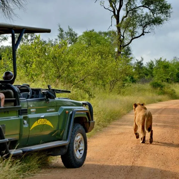 Kruger Safari Lodge, hotel en Manyeleti Game Reserve