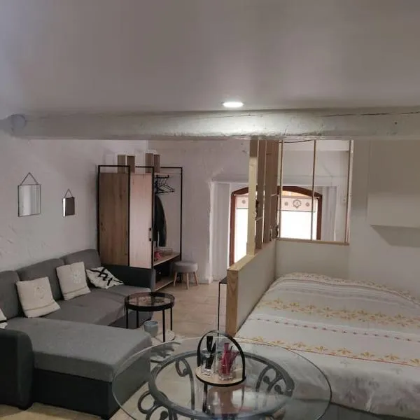 ISSOIRE studio hyper centre, hotel a Issoire