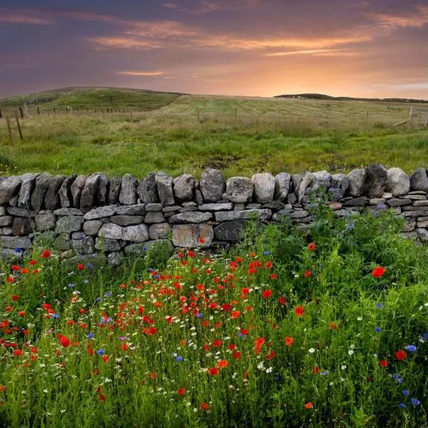 21 Callanish Luxury Pod, hotel in Aird Uig