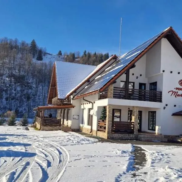 Pensiunea Marceluca, hotel di Hodoşa