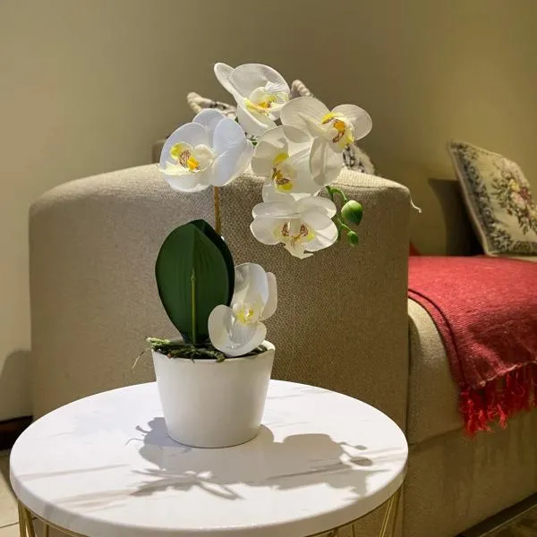 Thorntree Self Catering Apartment, Witbank, hotel in Witbank