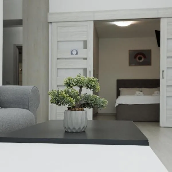 Exclusive Ultracentral Apartments and Studios #Enescu#Universitatii#Suceava, hotel a Suceava