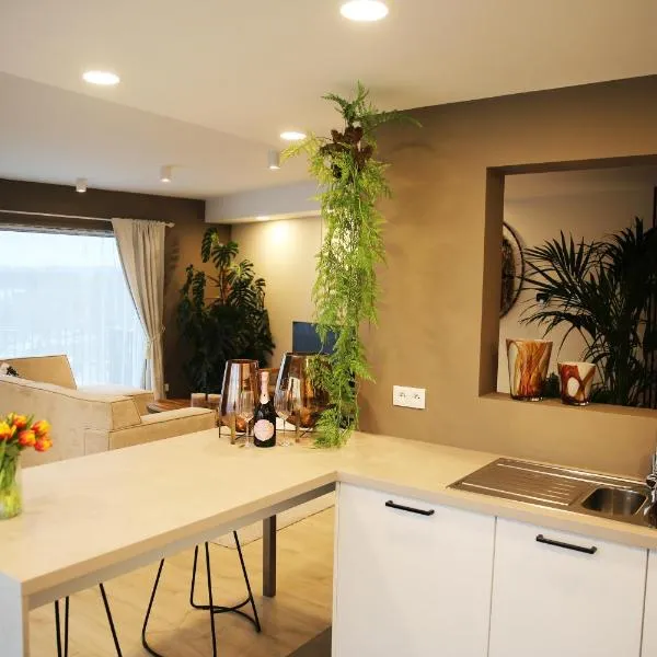 L'appart Baobab, avec sauna, hotel in Liège