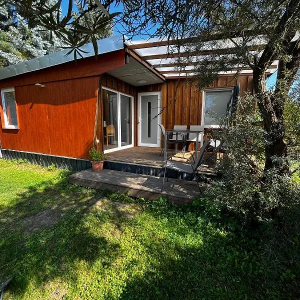 Ferienhaus Zeulenrodaer Meer, hotel in Stelzendorf