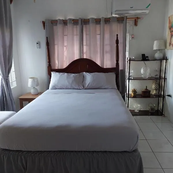 Hunter's Place - Tim Pappies, hotel v destinaci Port Antonio