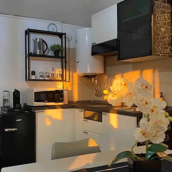 NEW Studio RHO FIERA-Legnano, hotel in Legnano