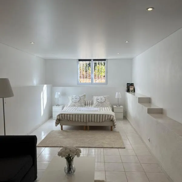 T3 avec jardin et piscine privée、Velauxのホテル