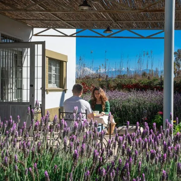 Boutique Vineyard and Wine Lodge, hotel v destinaci Maipú