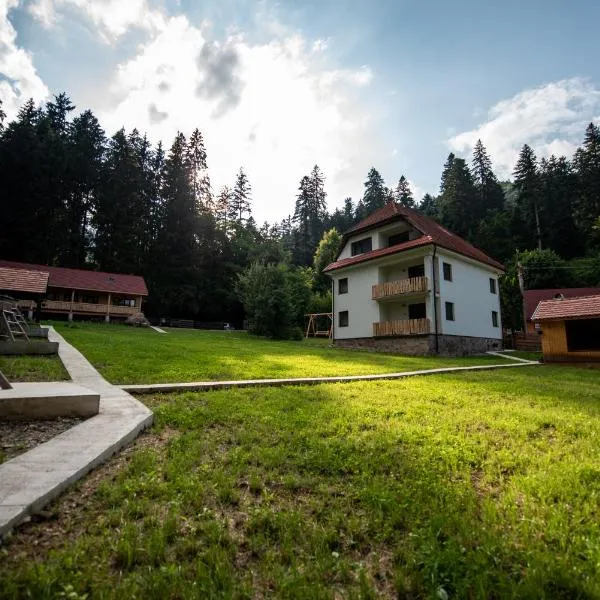 Forest Resort, hotel u gradu Baile Tušnad