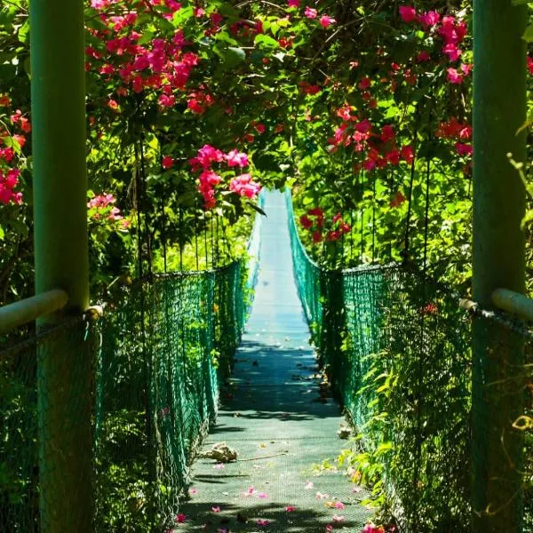 Sunshine Sanctuary Boutique Jungle Lodge, hotel in Montezuma