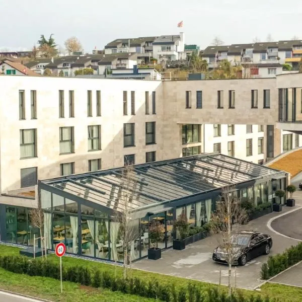 LMS - La Maison Suisse - Döttingen, hotel en Trasadingen
