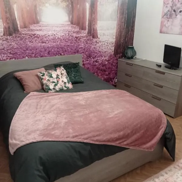 Appartement au rez -de -chaussée maison individuelle, Hotel in Louvigny