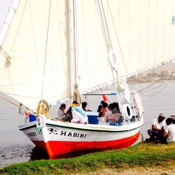 Felucca Sailing Boat Overnight Experience, hotel in Aswan