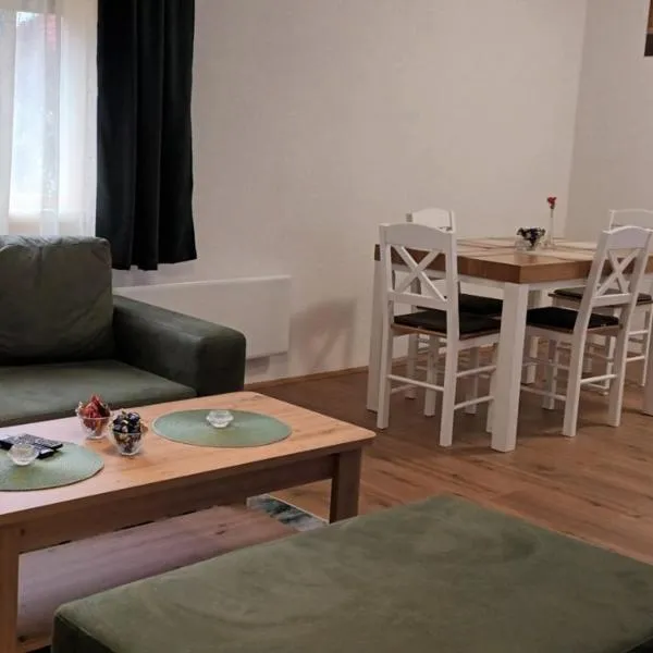 NAS DOM OPLENAC, hotel v destinaci Topola