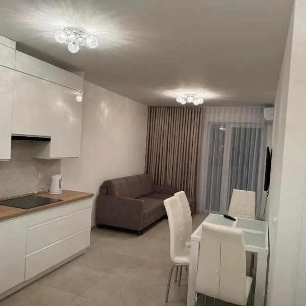 Apartament JANICKIEGO 159 parking free, hotel u gradu Poznanj
