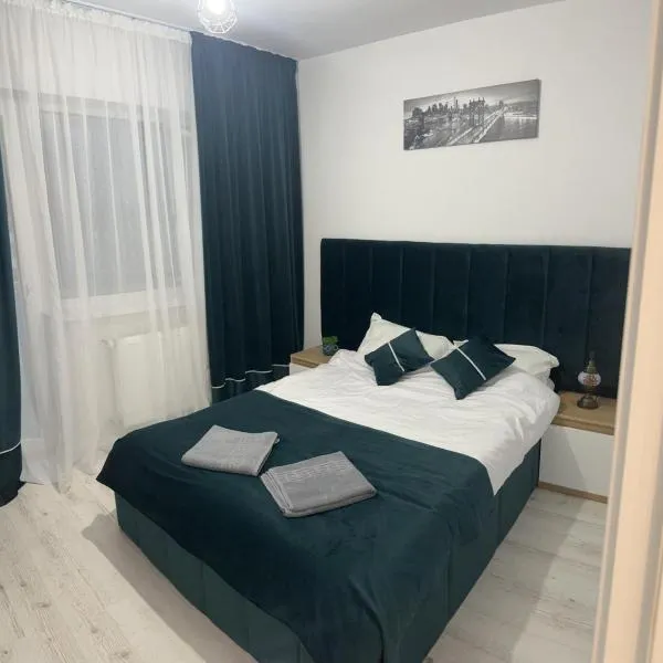 Studio - Cozy Home Slatina, hotel en Teslui