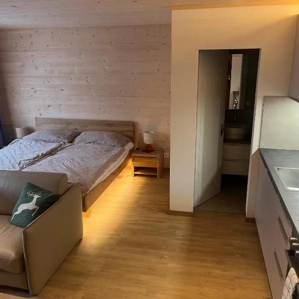 Ruhiges Studio mit Privatsphäre, Bergblick & Sitzplatz, ξενοδοχείο σε Habkern