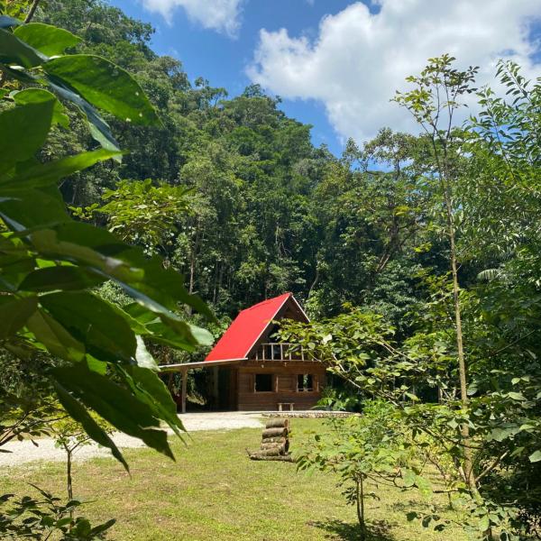 Chalé em meio à natureza!