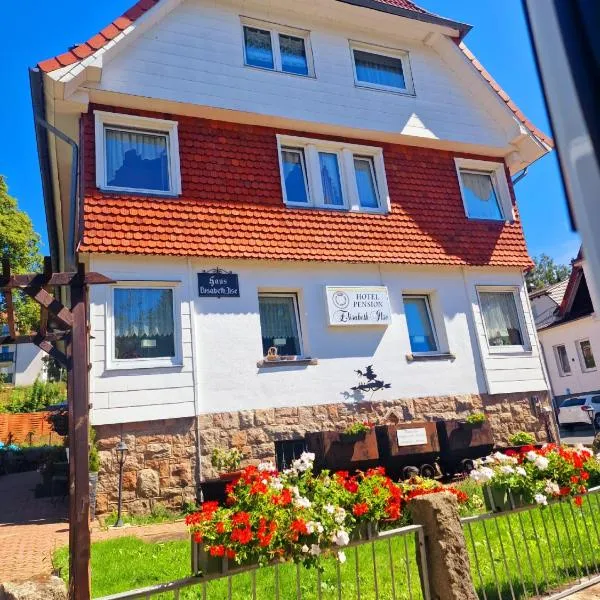 Hotel Elisabeth Ilse, hotel v destinaci Braunlage