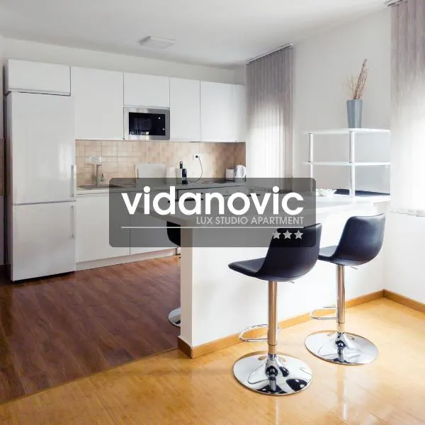Lux Studio Apartment Vidanovic โรงแรมในปิโรต์