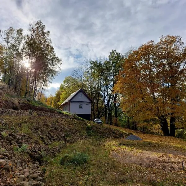 Domek za lipą โรงแรมในRosciszów