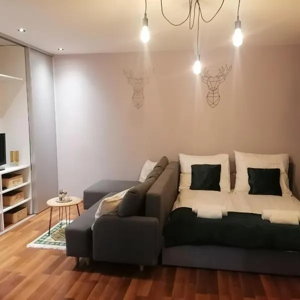 Apartament Gagarina 31, hótel í Zabrze