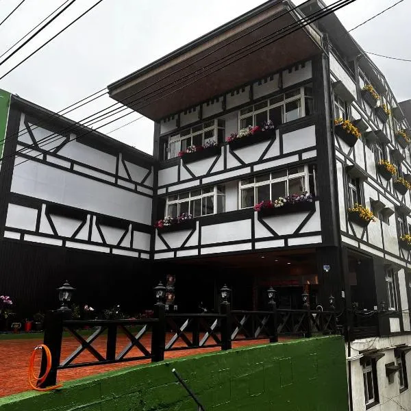 溪頭桂竹山莊民宿, hotell sihtkohas Lugu