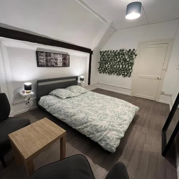 Appartement + Parking privé – hotel w mieście Sainte-Savine