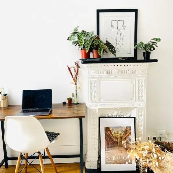 Beautiful bright flat Jardin des Plantes