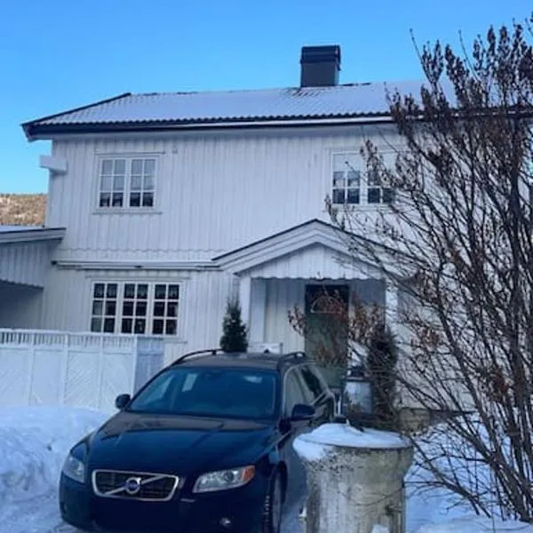 Familievennlig fritidsbolig i hjertet av Flå, perfekt for besøk i Bjørneparken, hotel in Flå