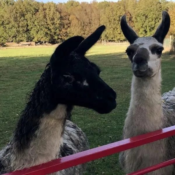 La Fermette Aux Lamas, hotel v destinaci Savigny-Lévescault