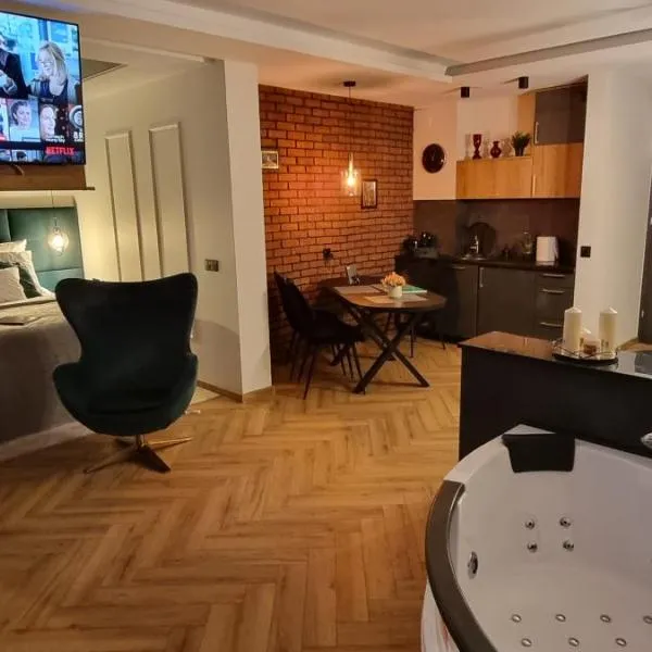 Happy time together apartament z Jacuzzi, hotel v destinaci Wojkowice