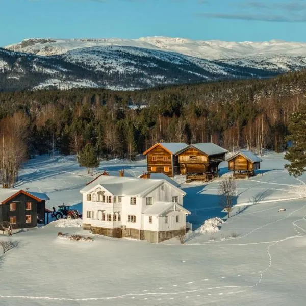 Bolkesjø Gaard, hotel in Notodden