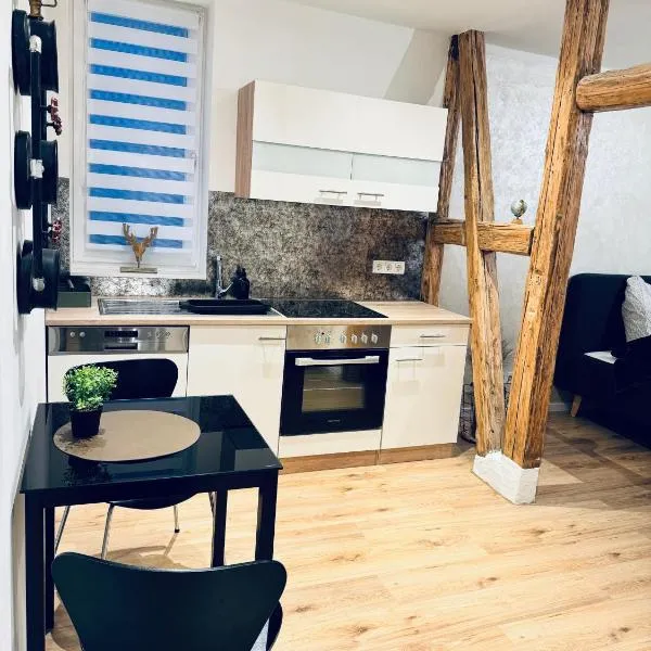 Harzheimat-Goslar Appartement, hotel em Goslar