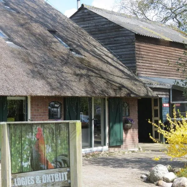 B&B de Berghoeve, hotel en Ruinen