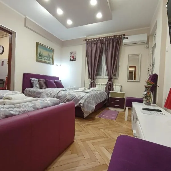 Apartments & Rooms -MDL Lazić, hotell sihtkohas Vinča