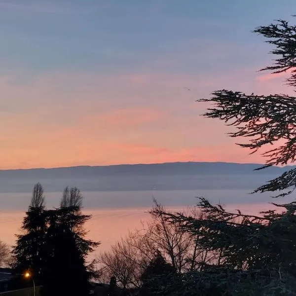 Le Mirabeau Vue Lac, hotel en Évian-les-Bains