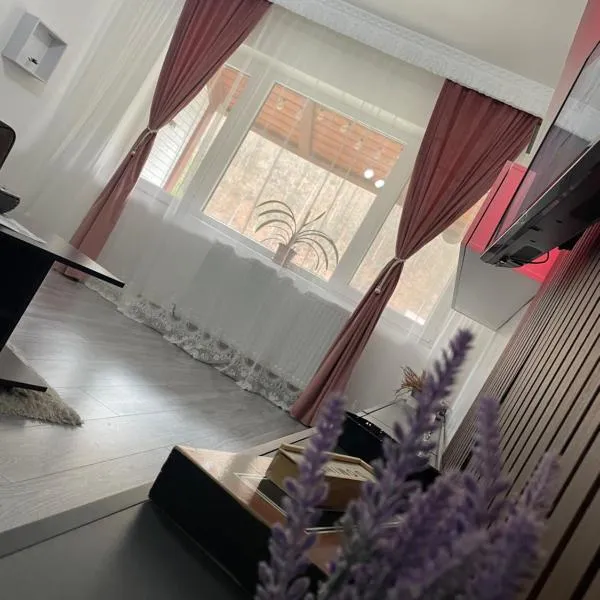 AKY Residence、スラニク・モルドバのホテル
