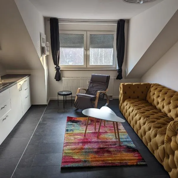 Ferienwohnung Am Stadtpark, hotel in Chemnitz