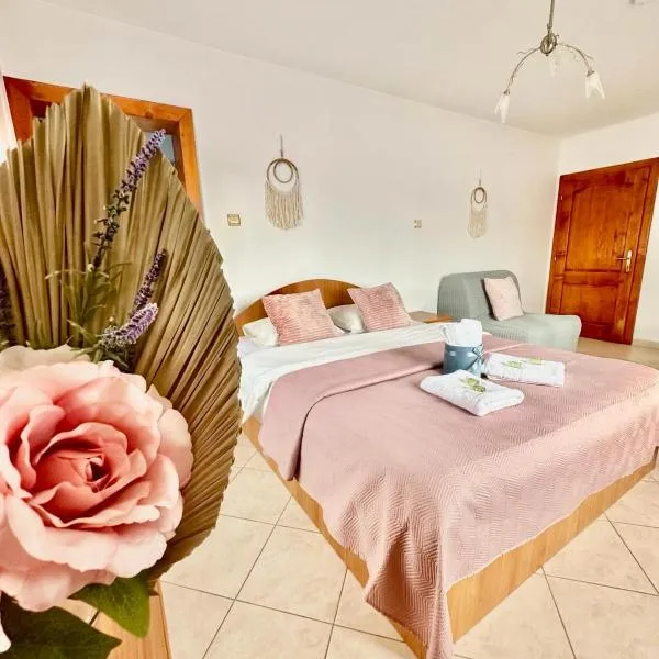Pensiunea Beatrice, hotel v destinaci Întorsura Buzăului