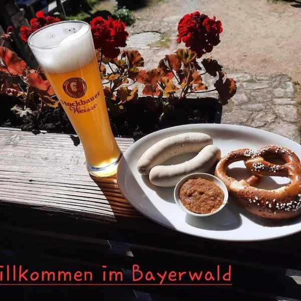 Musik und Natur - Balboo - Bayrischer Wald - Sauna - Pool - Grillen, hotel in Spiegelau