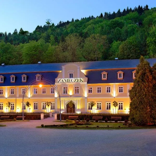 Zameczek, hotel in Kudowa-Zdrój