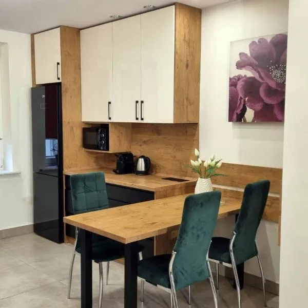 Apartament Renii, hotelli kohteessa Tomaszów Mazowiecki