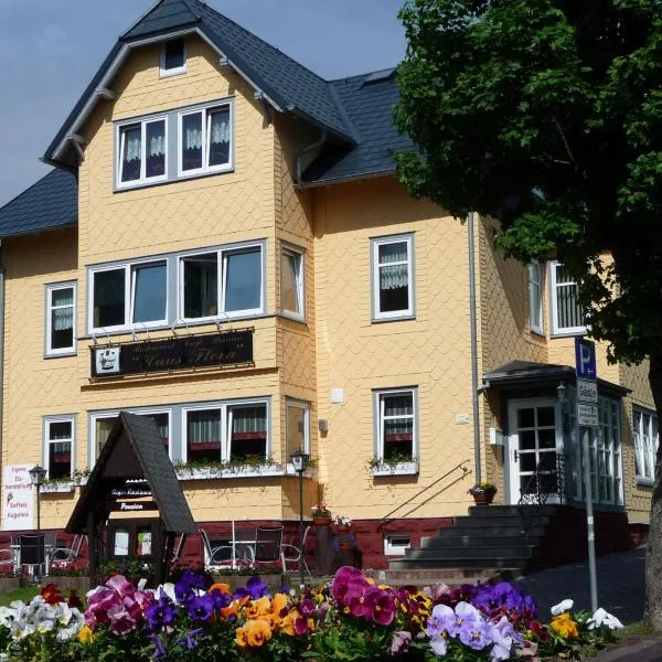 Pension Haus Flora, hotel en Oberhof