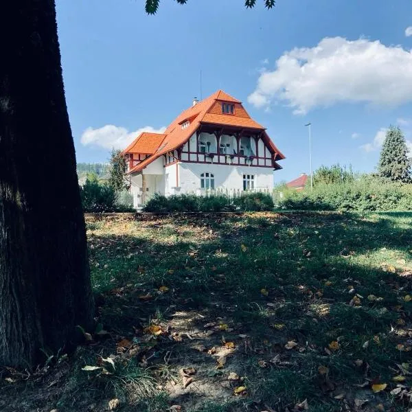 Ubytování Javorka, hotel in Česká Třebová