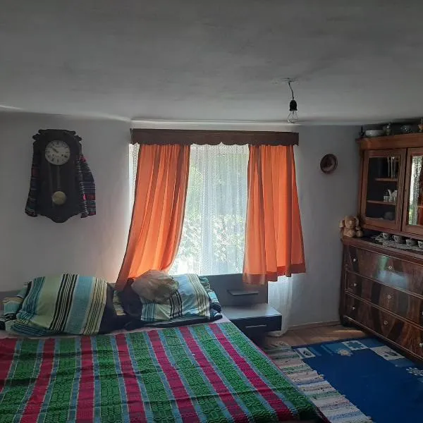 Pensiunea Lazar, hotel a Prod