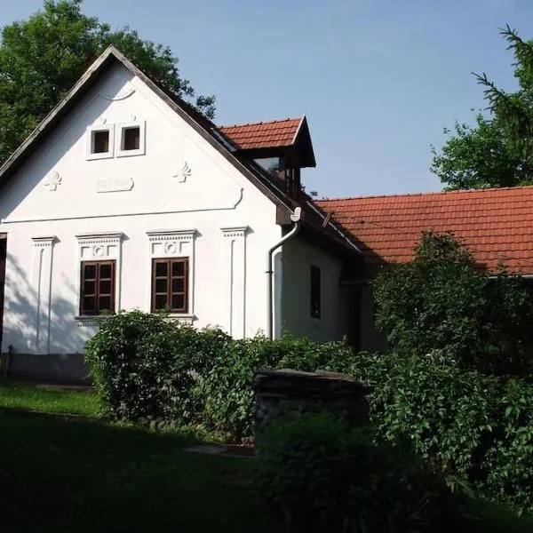 Creekside country cottage Nagyvisnyo/ Patakparti paraszthaz Nagyvisnyo, hotel v destinaci Nagyvisnyó