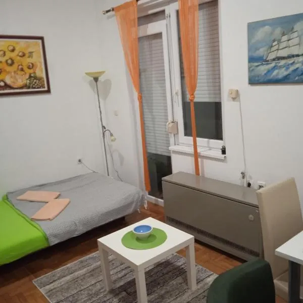 Apartman studio DUE, hotel in Apatin